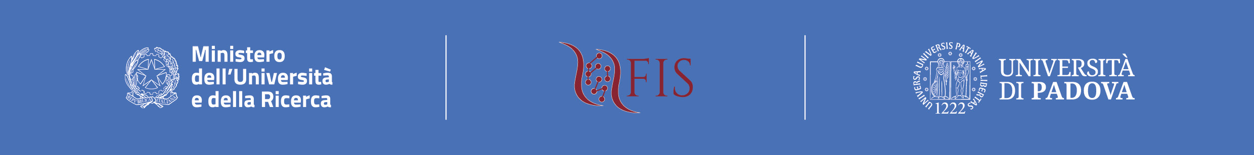 Ministero dell’Università e della Ricerca · FIS · Università di Padova